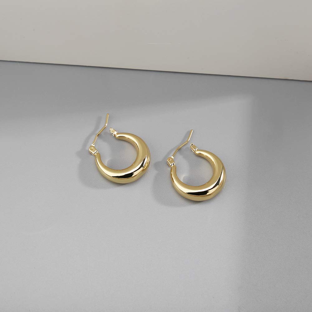 LILIE&WHITE Chunky Gold Hoop Earrings for Women Cute Fashion Hypoallergenic earrings Minimalist Jewelry Gift